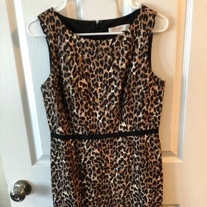 Loft Leopard Print Dress